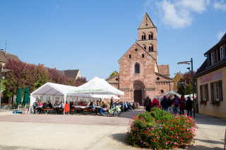 La place de l'église de Sigolsheim